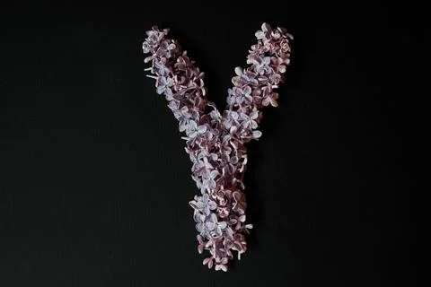 A letter Stock Photos