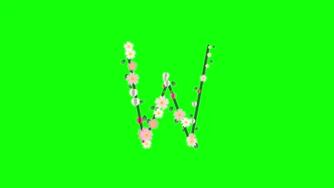 Letter Professional Isolated Green Screen Stock Video Stock Footage 337996474