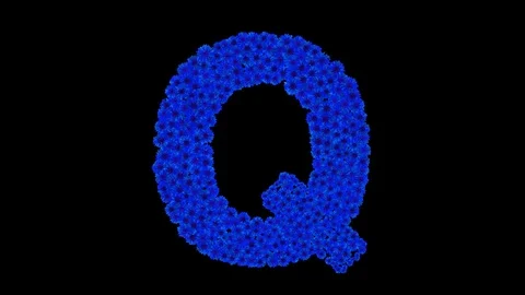 Letter Q made of cornflowers Stock Footage 73942122