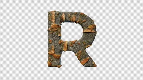 Letter R Stock Footage 306248155