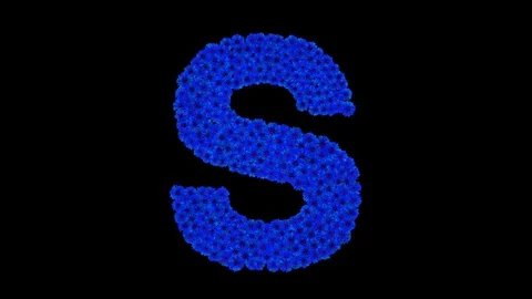 Letter S made of cornflowers Stock Footage 73942092