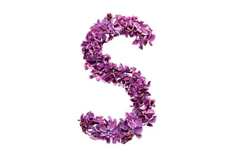 Letter S Stock Photos