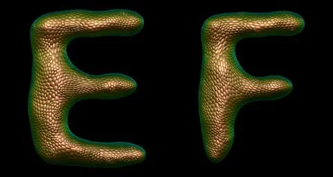 Letter set E, F made of realistic 3d render natural gold snake skin texture. Stock Illustration