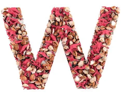 Letter of starfish Stock Illustration