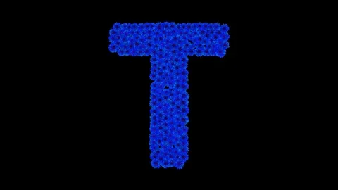 Letter T made of cornflowers Stock Footage 73942047
