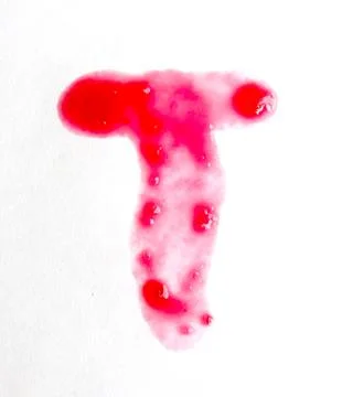 Letter T. 스톡 사진