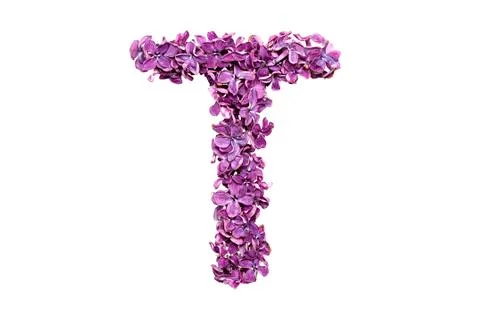Letter T Stock Photos