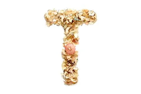 Letter T Stock Photos