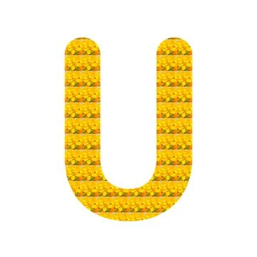 Letter U alphabet Stockillustratie