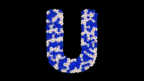 Letter U made of cornflowers and white daisy flowers Stock Footage 73942604