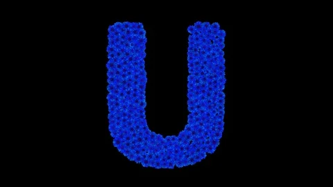 Letter U made of cornflowers Stock Footage 73942036