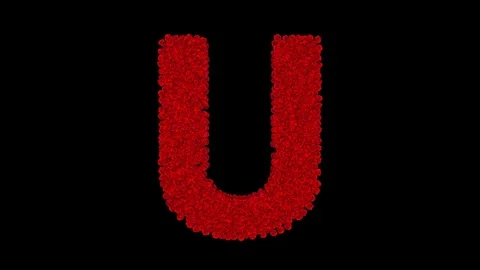 Letter U made of red roses Stock Footage 74168487