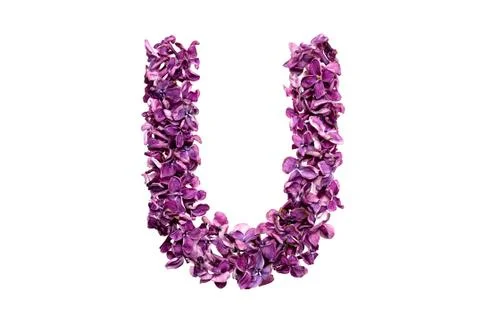 Letter U Stock Photos