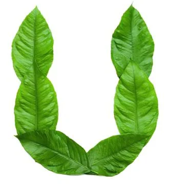 Letter u on white background Stock Photos