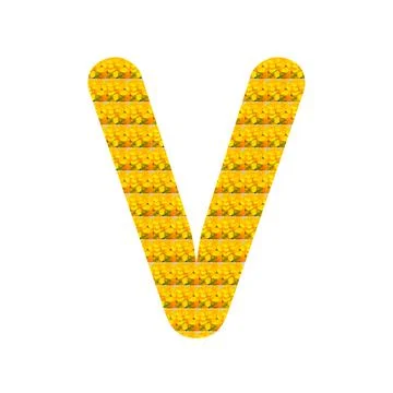 Letter V alphabet Illustration