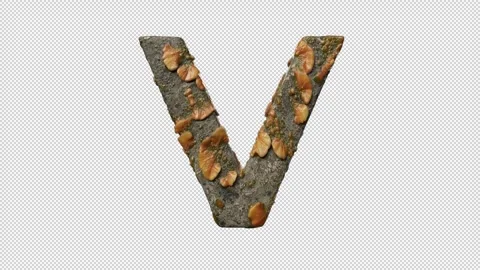 Letter V Stock Footage 306248159