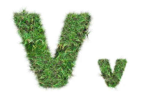 Letter v on green grass isolated Stock Illustration