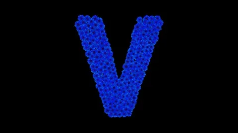 Letter V made of cornflowers Stock Footage 73942100
