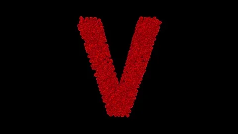 Letter V made of red roses Stock Footage 74167647