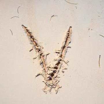 Letter v Stock Photos
