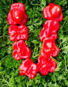 Letter v. Foto stock