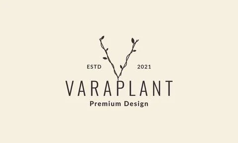 Letter V with vines tree logo symbol vector icon illustration graphic design Stock Illustration