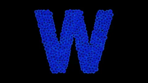 Letter W made of cornflowers Stock Footage 73942118