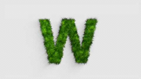 Letter W made of grass with alpha channel, alphabet in the form of green gra Video stock 262067916