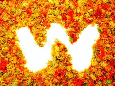 Letter w. Stock Photos