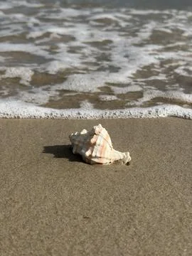 A Letter from the Wave Stock Photos