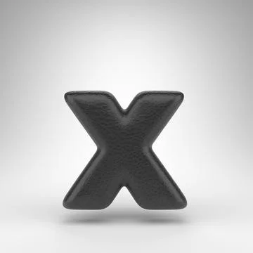 Letter X lowercase on white background. Black leather 3D letter with skin tex Illustrazione stock
