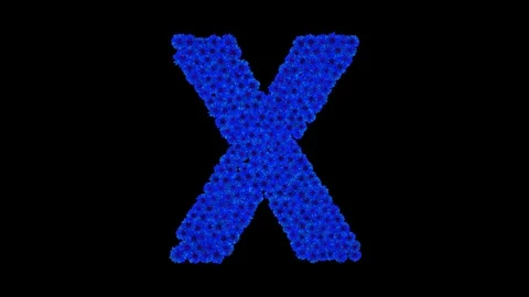 Letter X made of cornflowers Stock Footage 73942114