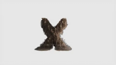 Letter X is made from sand breaks and fall creating dust Stock Footage 289724265