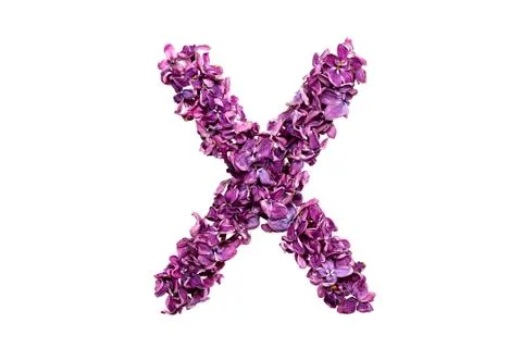Letter X Stock Photos