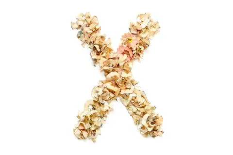 Letter X Stock Photos