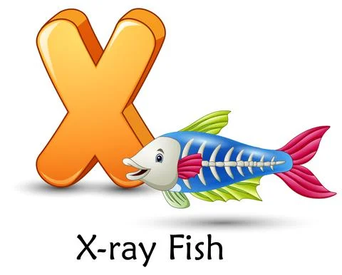 Letter X is for X-ray fish cartoon alphabet Stock Illustration
