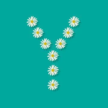 Letter Y from chamomile Stock Illustration
