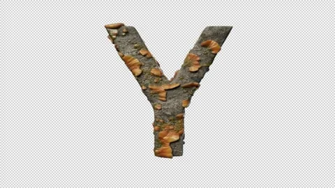 Letter Y Stock Footage 306261152