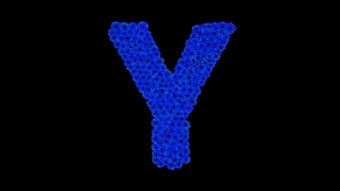 Letter Y made of cornflowers Stock Footage 73942032