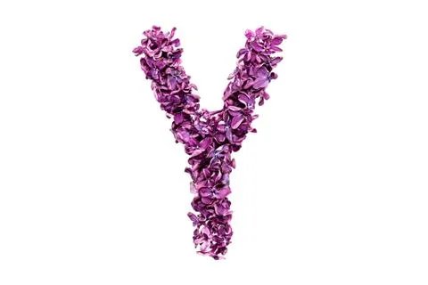 Letter Y Stock Photos