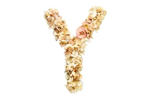Letter Y Stock Photos