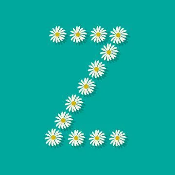 Letter Z from chamomile Stock Illustration