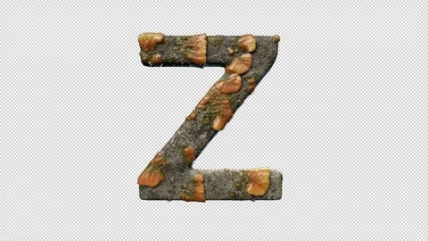 Letter Z Stock Footage 306261169