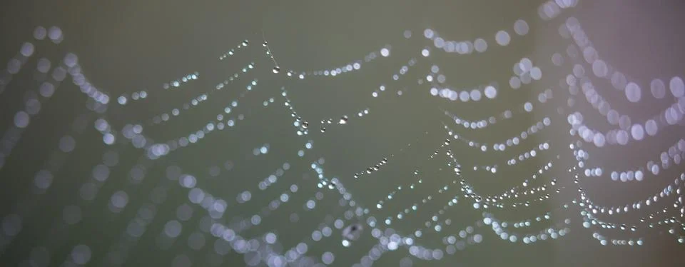 Letterbox crop of a Web Stock Photos
