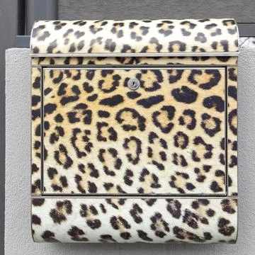 Letterbox with leopard skin pattern Stock Photos