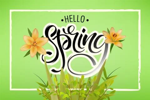 Lettering of brush Hello Spring you can use in yuor disign, print posters, ca Stock Illustration