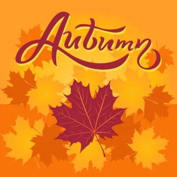 Lettering composition Autumn and Fall Maple Leaves Stock-Illustration