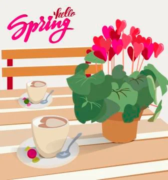 Lettering Hello spring. A table in a cafe with a flower cyclamen in a pot and Illustrazione stock