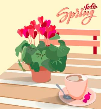 Lettering Hello spring. A table in a cafe with a flower cyclamen in a pot and Illustrazione stock