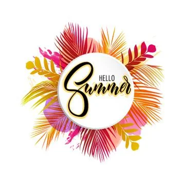 Lettering hello summer wrote by brush. Hello summer calligraphy. Palm leaves Stock Illustration